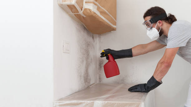 Professional Mold Inspection And Testing technician working in Hewlett, NY